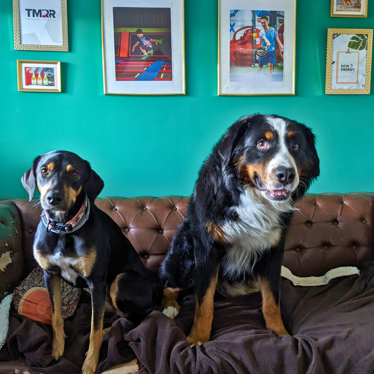 Bonnie & Schocki